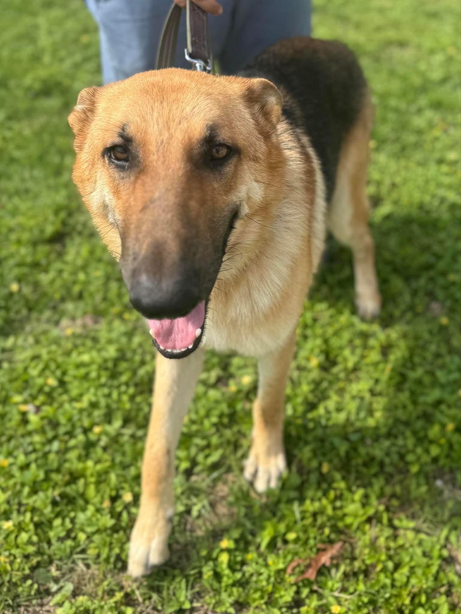 Max photo 2