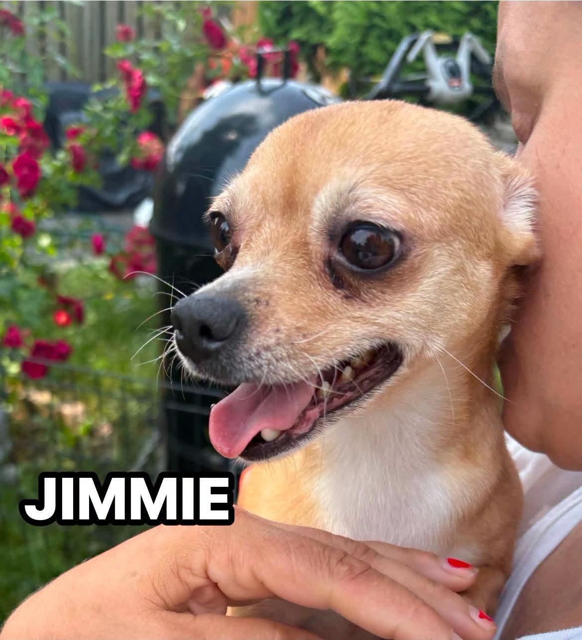 Jimmie photo