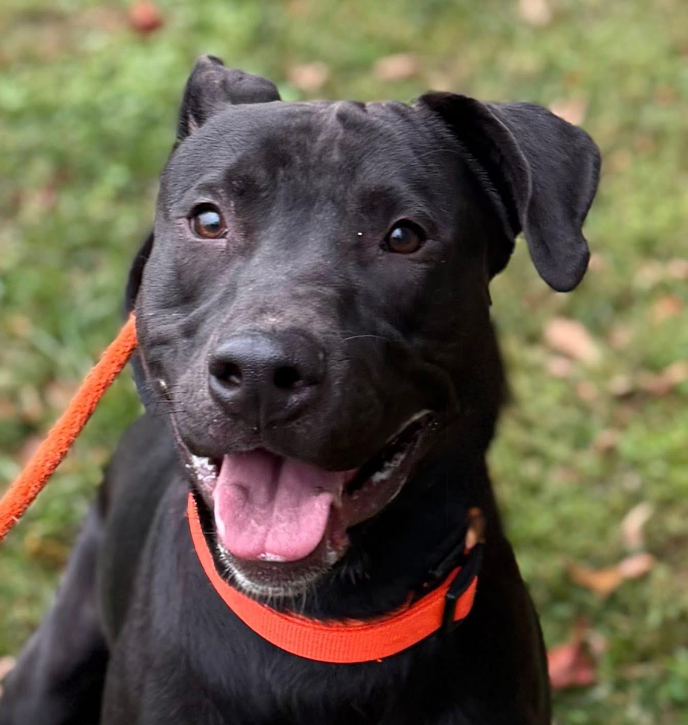 Lucky (ID 48836/3517)