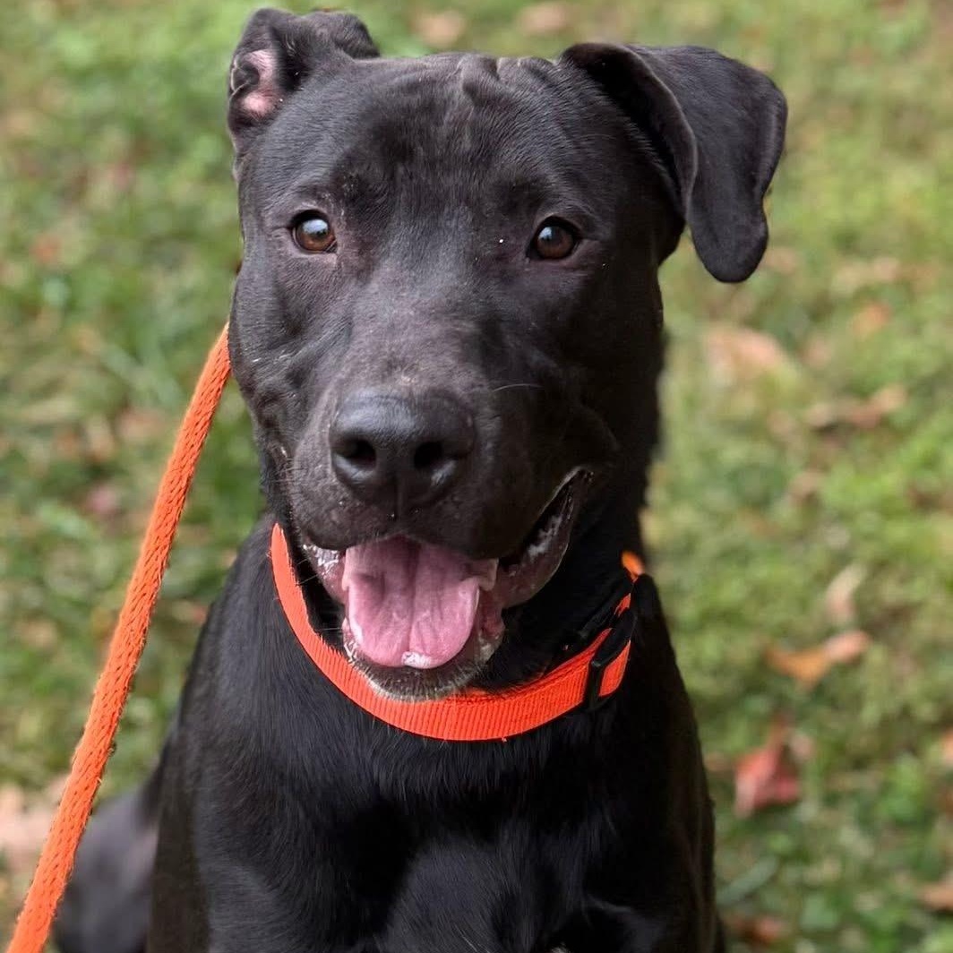 Lucky (ID 48836/3517)