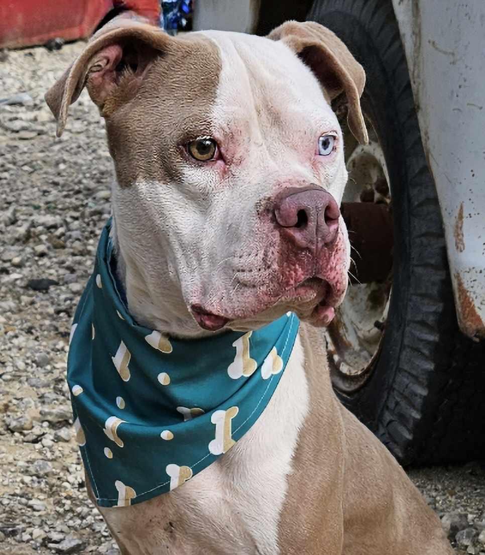 Coffee — thumbnail 2