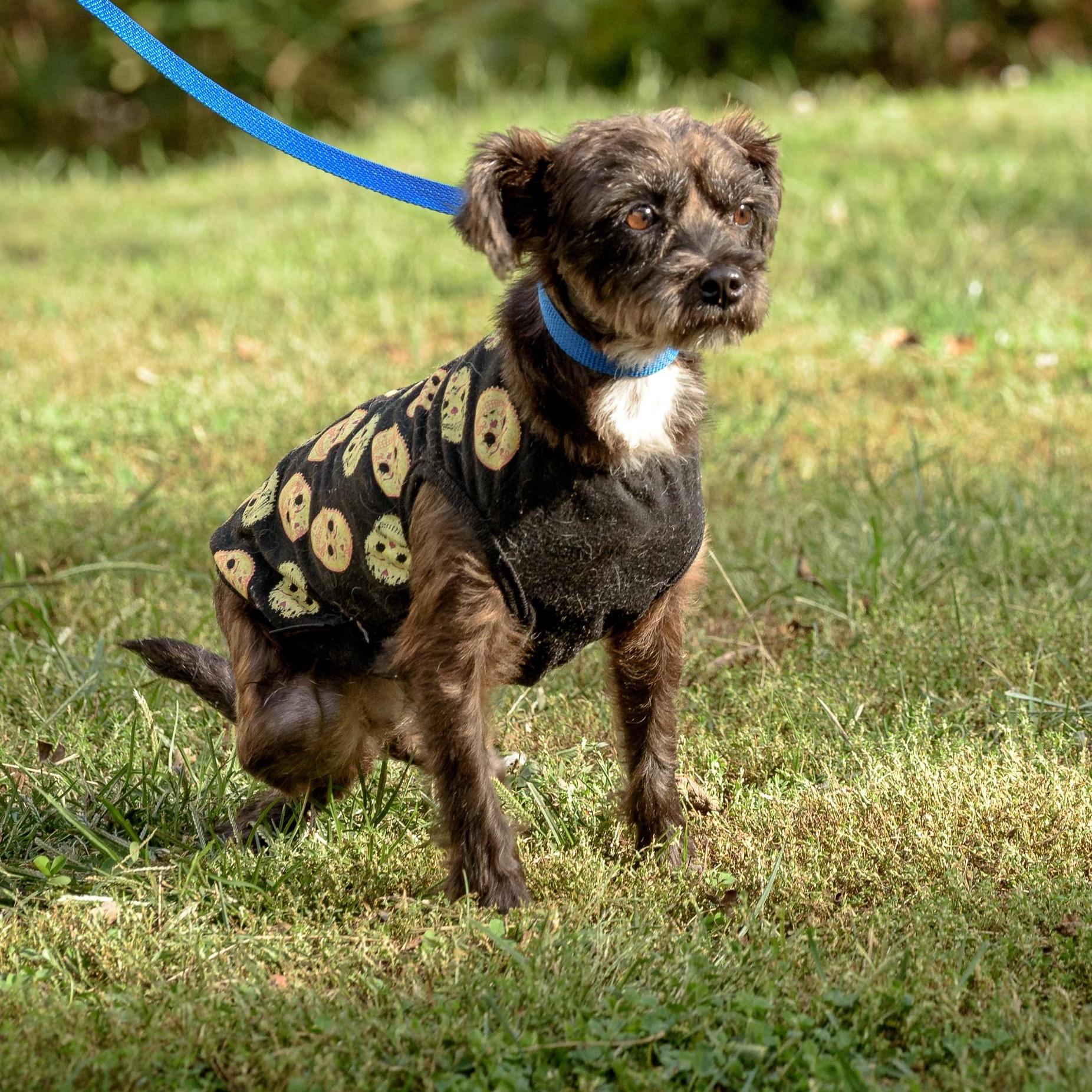 Charlotte thumbnail 2