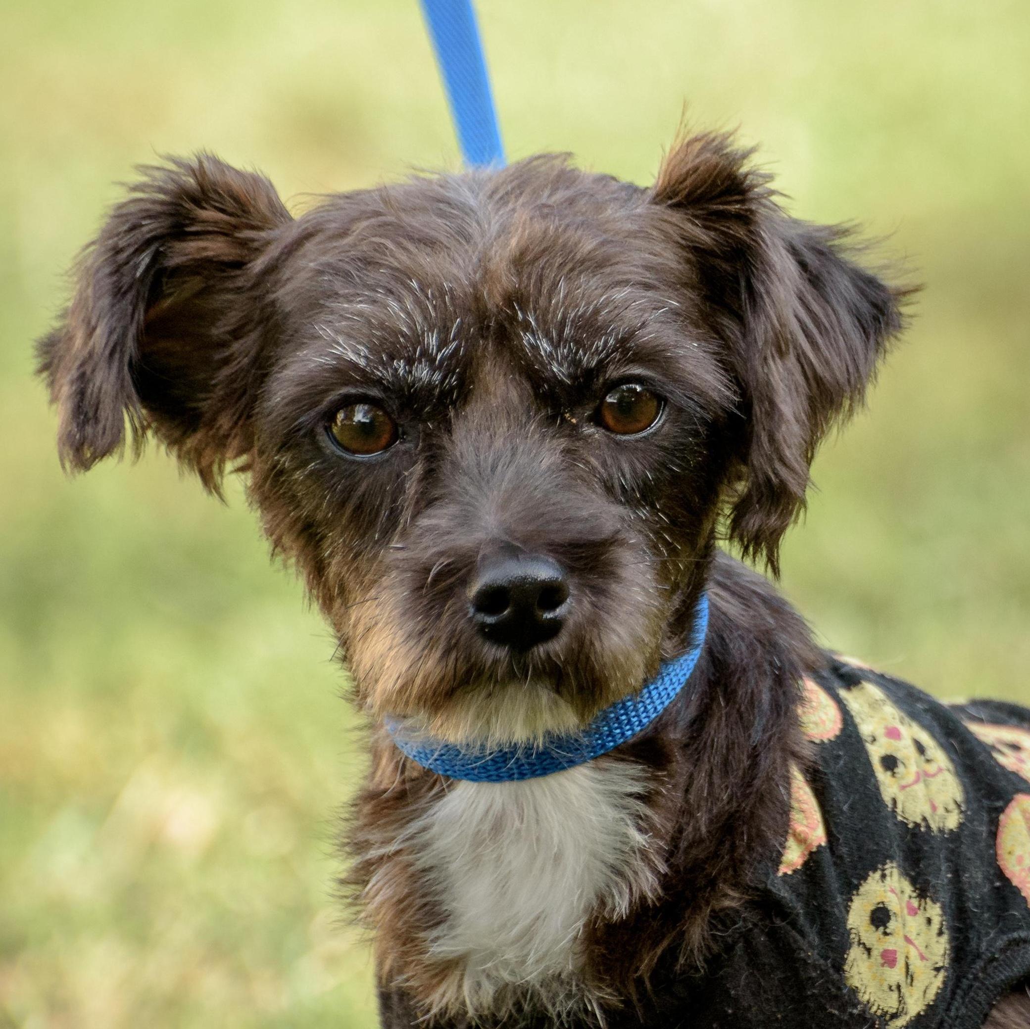 Charlotte thumbnail 3