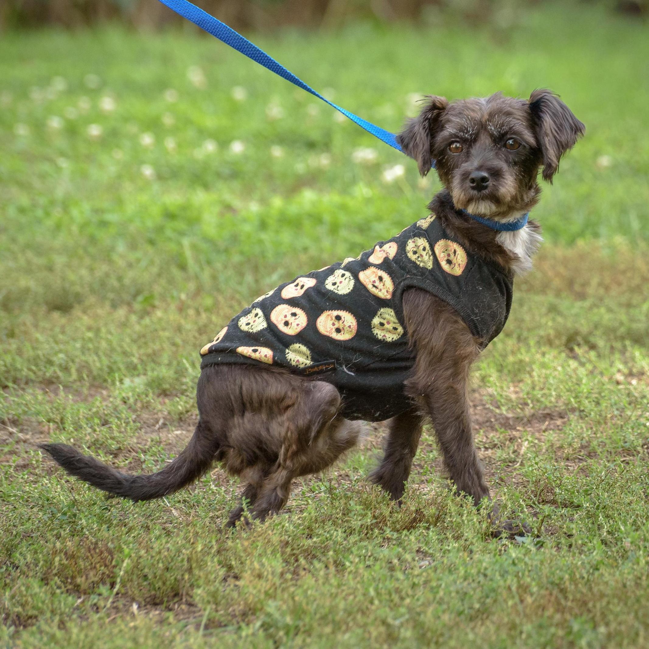 Charlotte thumbnail 4