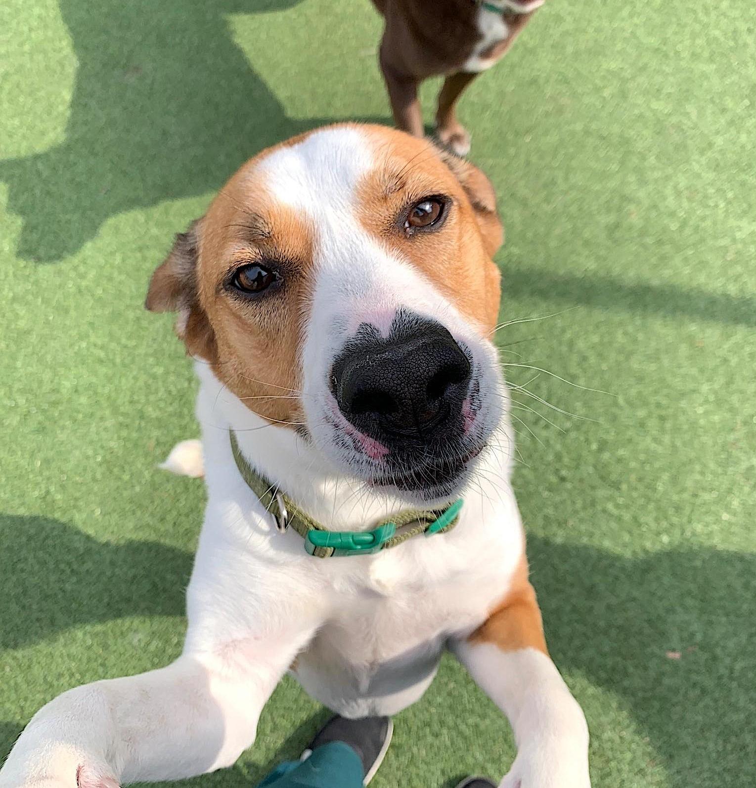 Gracie Mae — thumbnail 2