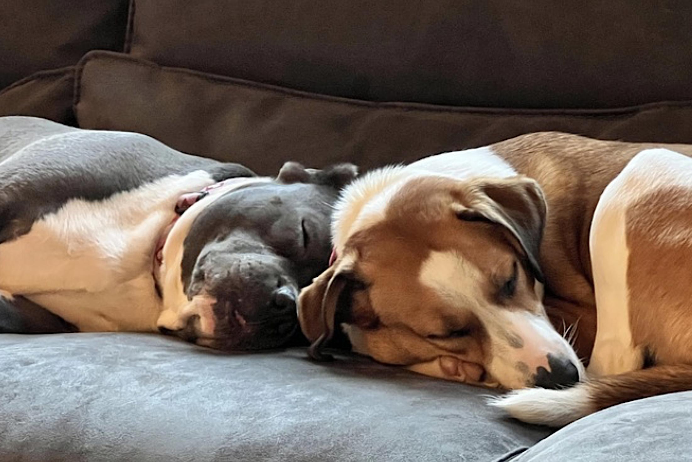 Gracie Mae — thumbnail 5