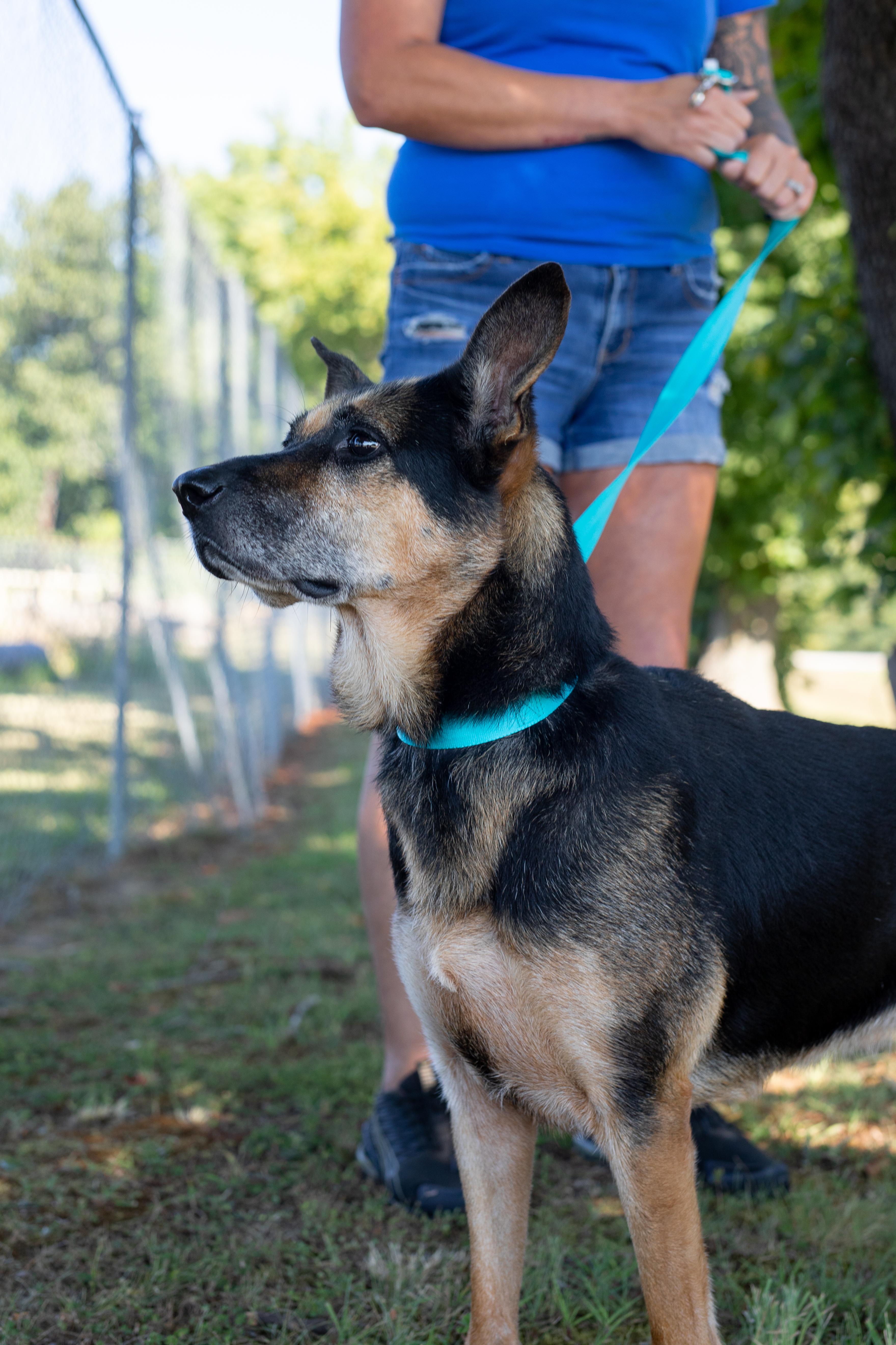 Sookie- Sponsored Adoption