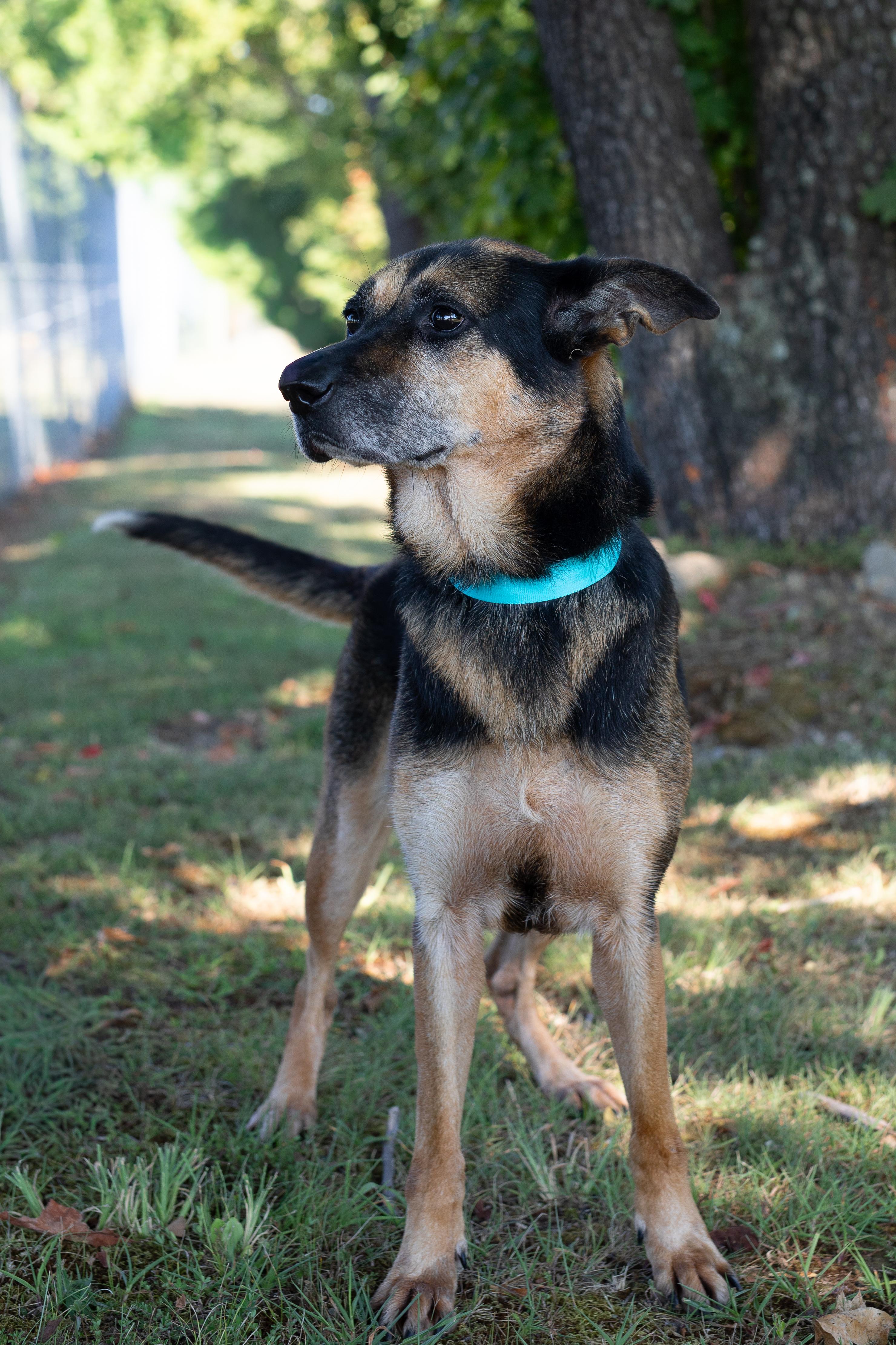 Sookie- Sponsored Adoption