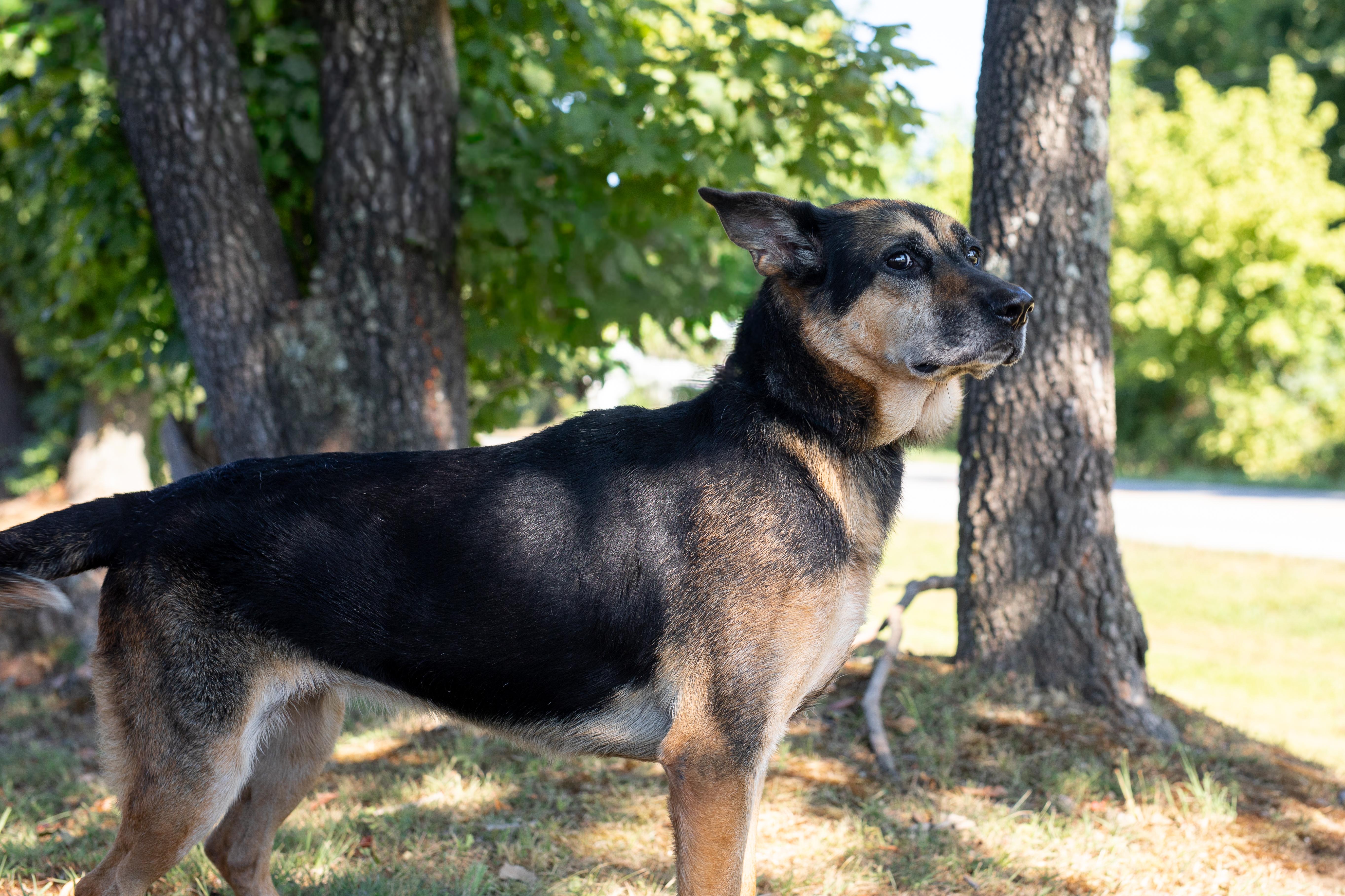 Sookie- Sponsored Adoption