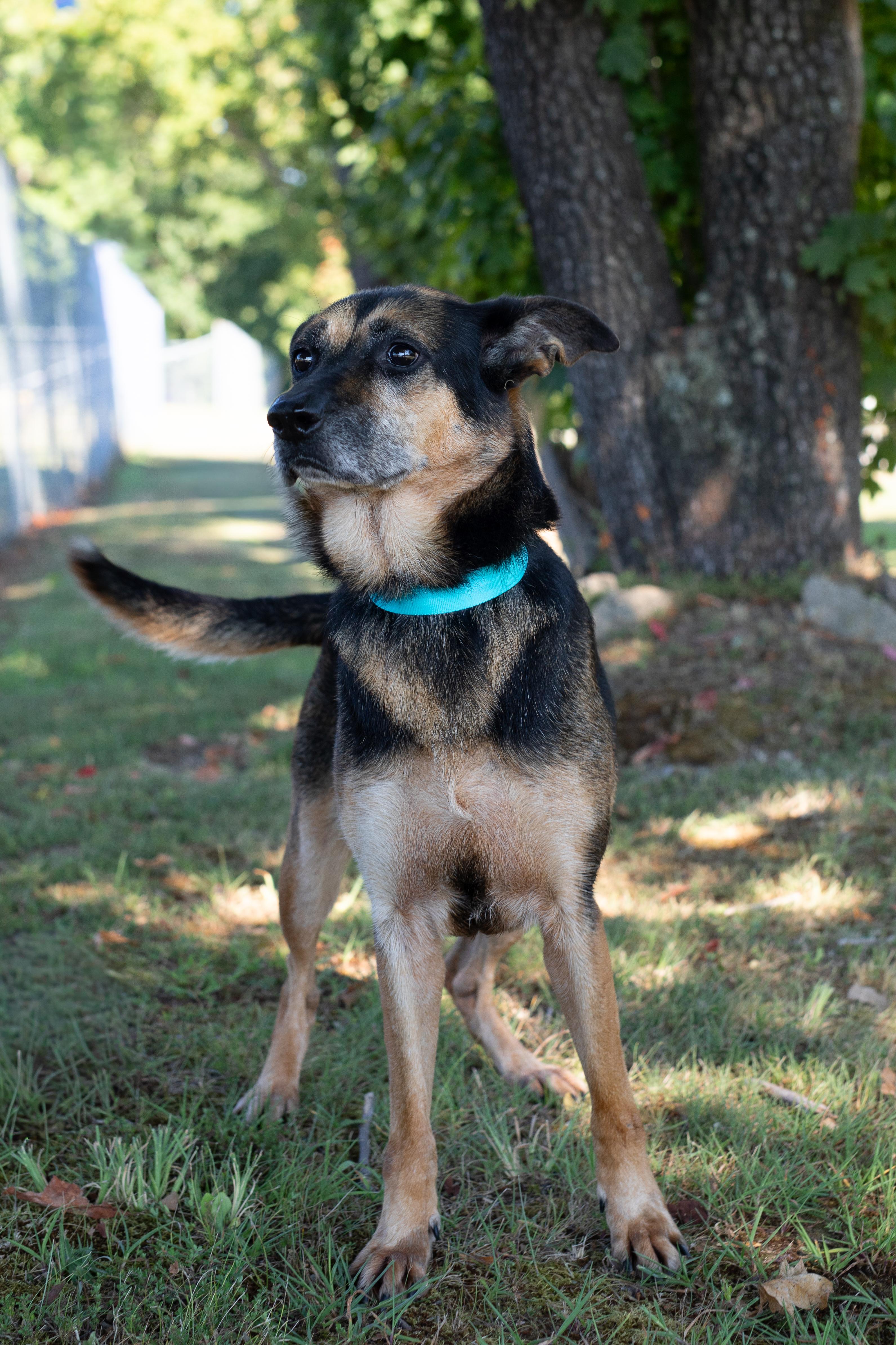 Sookie- Sponsored Adoption