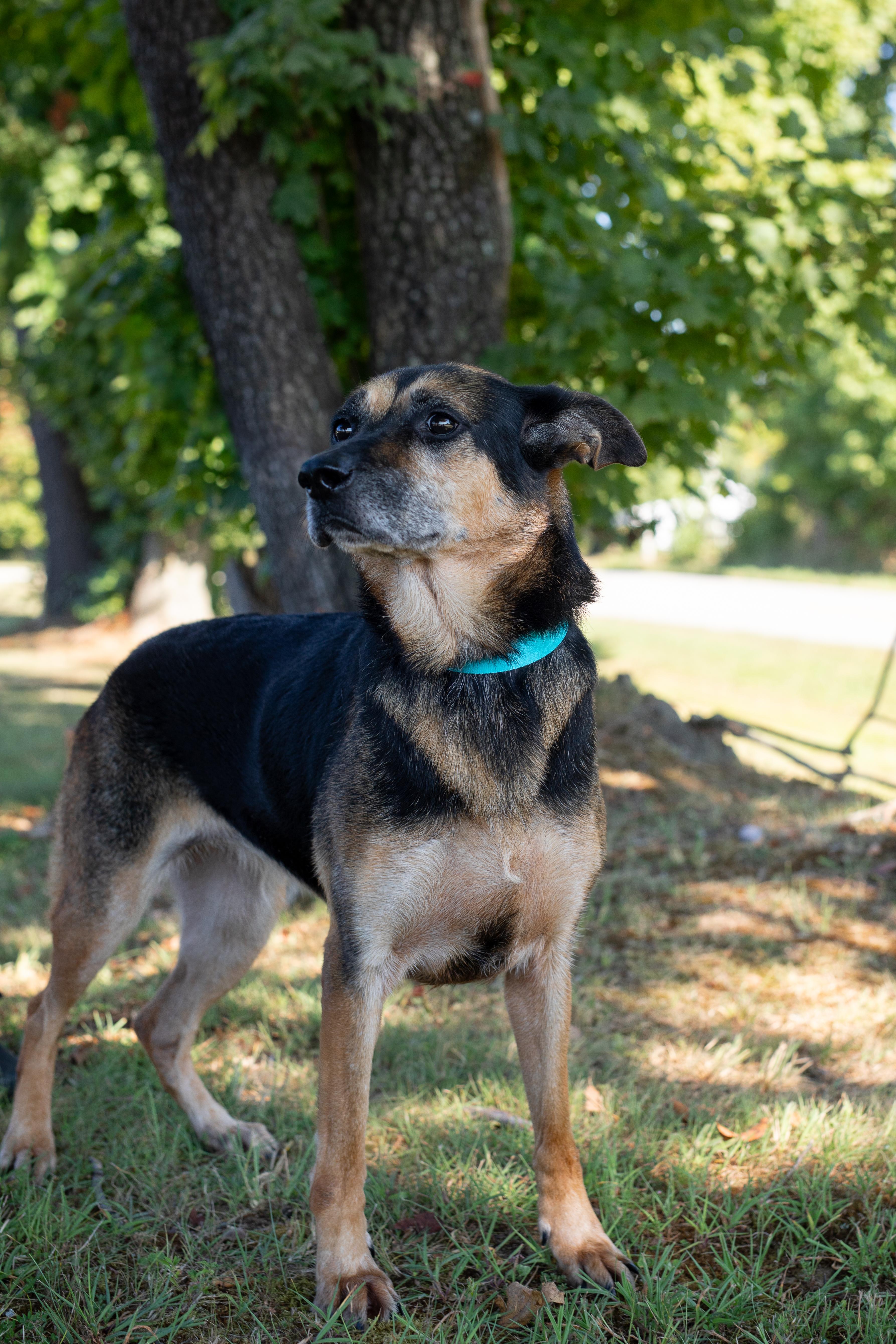 Sookie- Sponsored Adoption