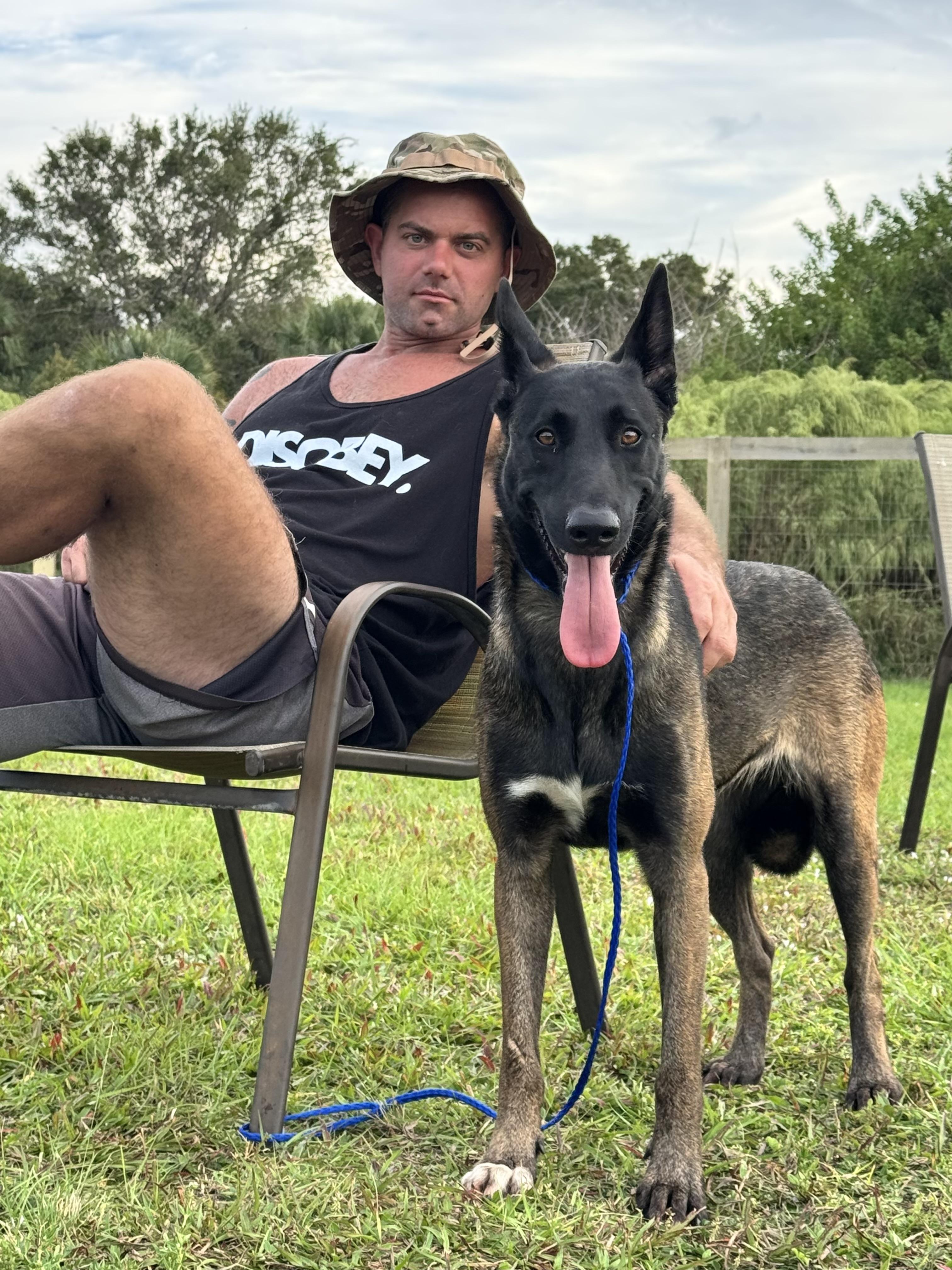 Enlarge Star, an adopted Belgian Shepherd / Malinois in Port Saint Lucie, FL image 3/5