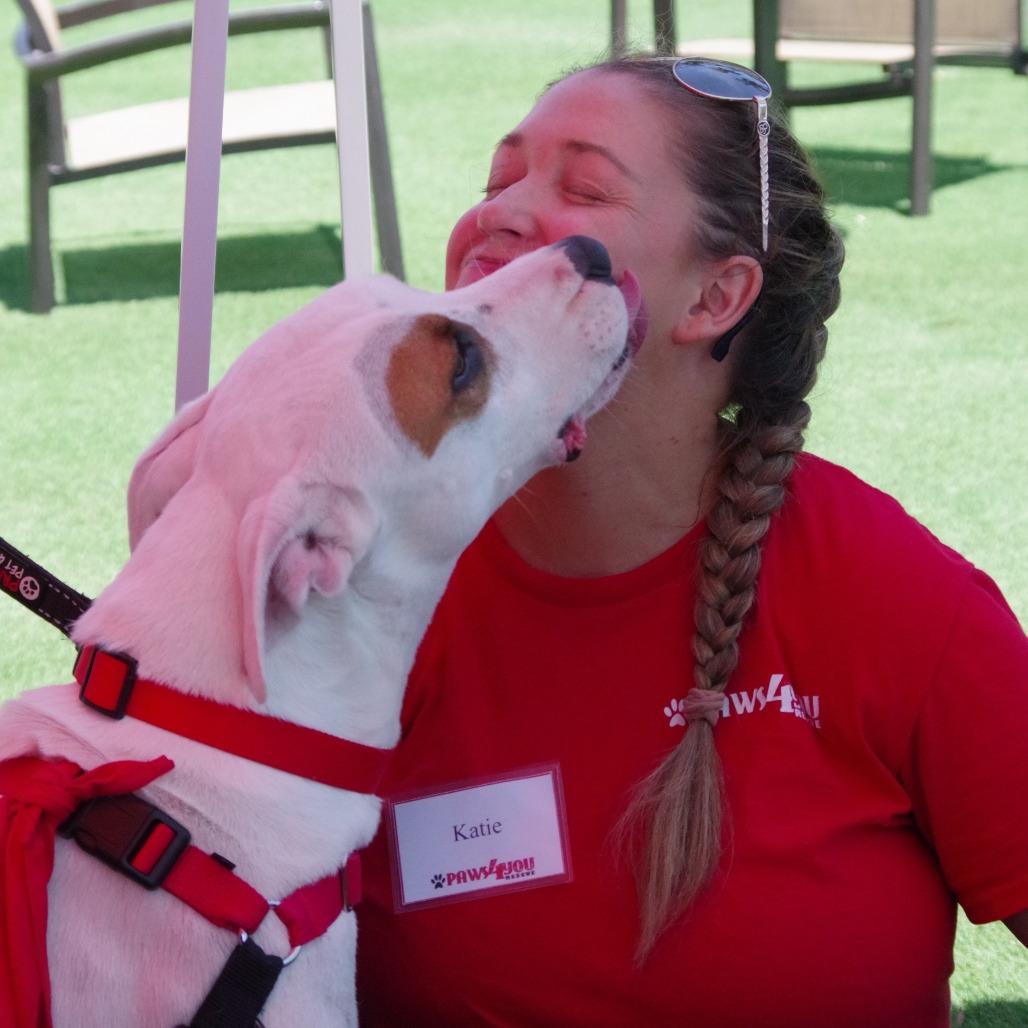 Enlarge Blanquito, a Adoptable mixed breed in Miami, FL image 5/6