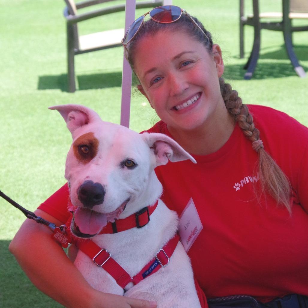 Enlarge Blanquito, a Adoptable mixed breed in Miami, FL image 6/6