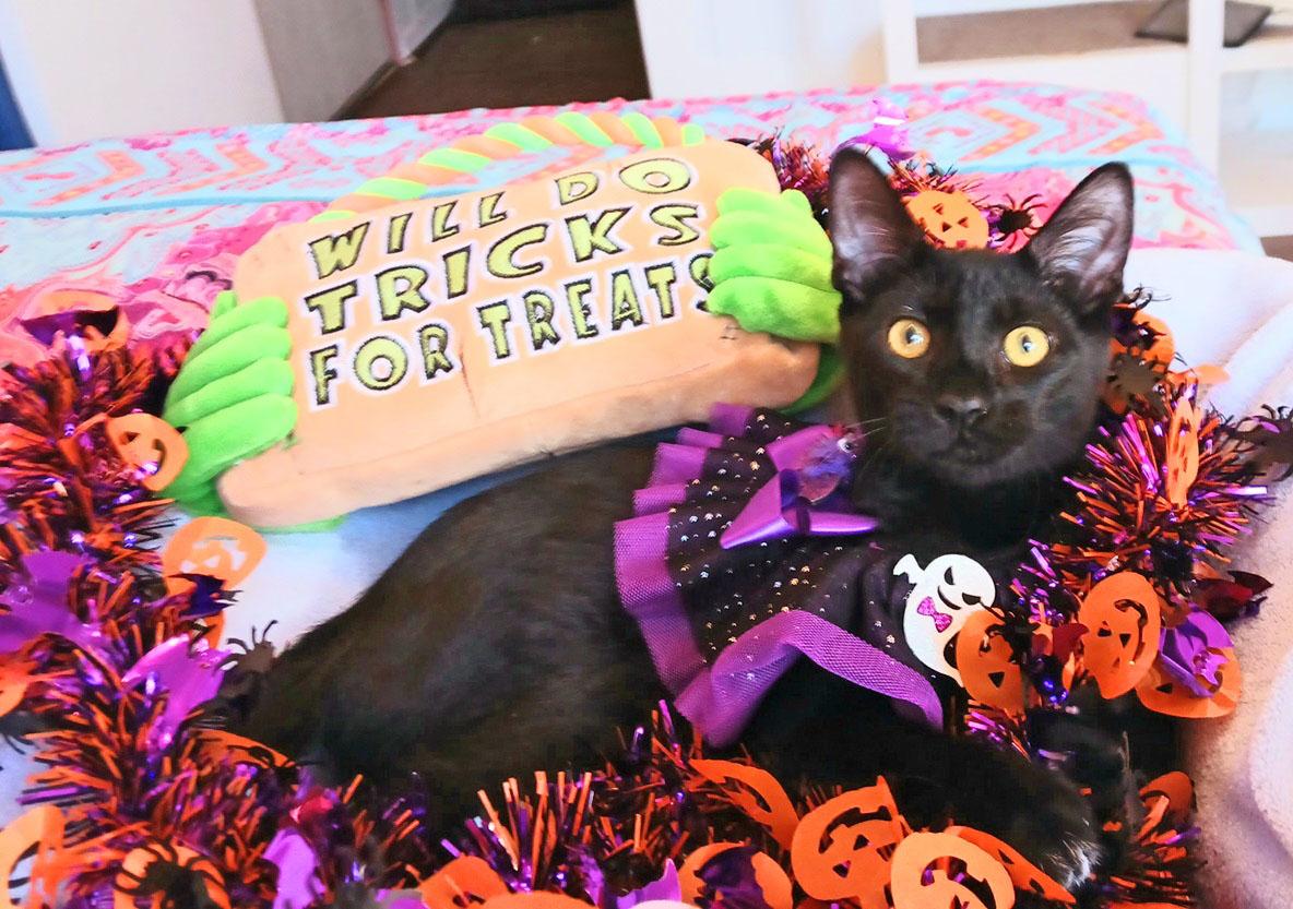 Tobias thumbnail 3