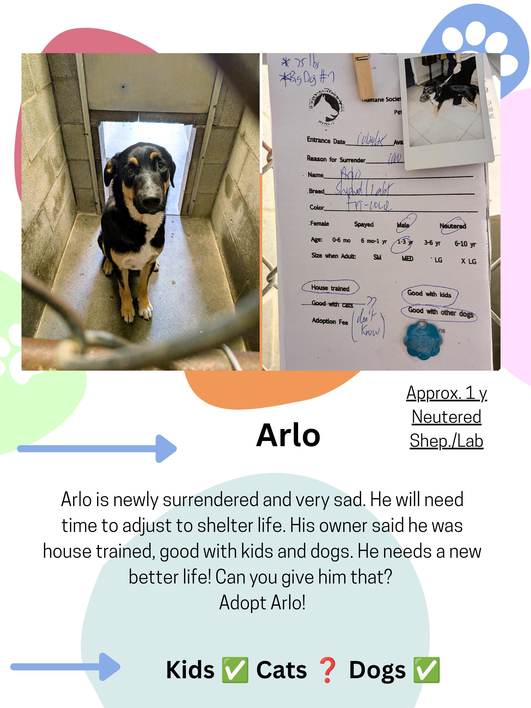 Arlo