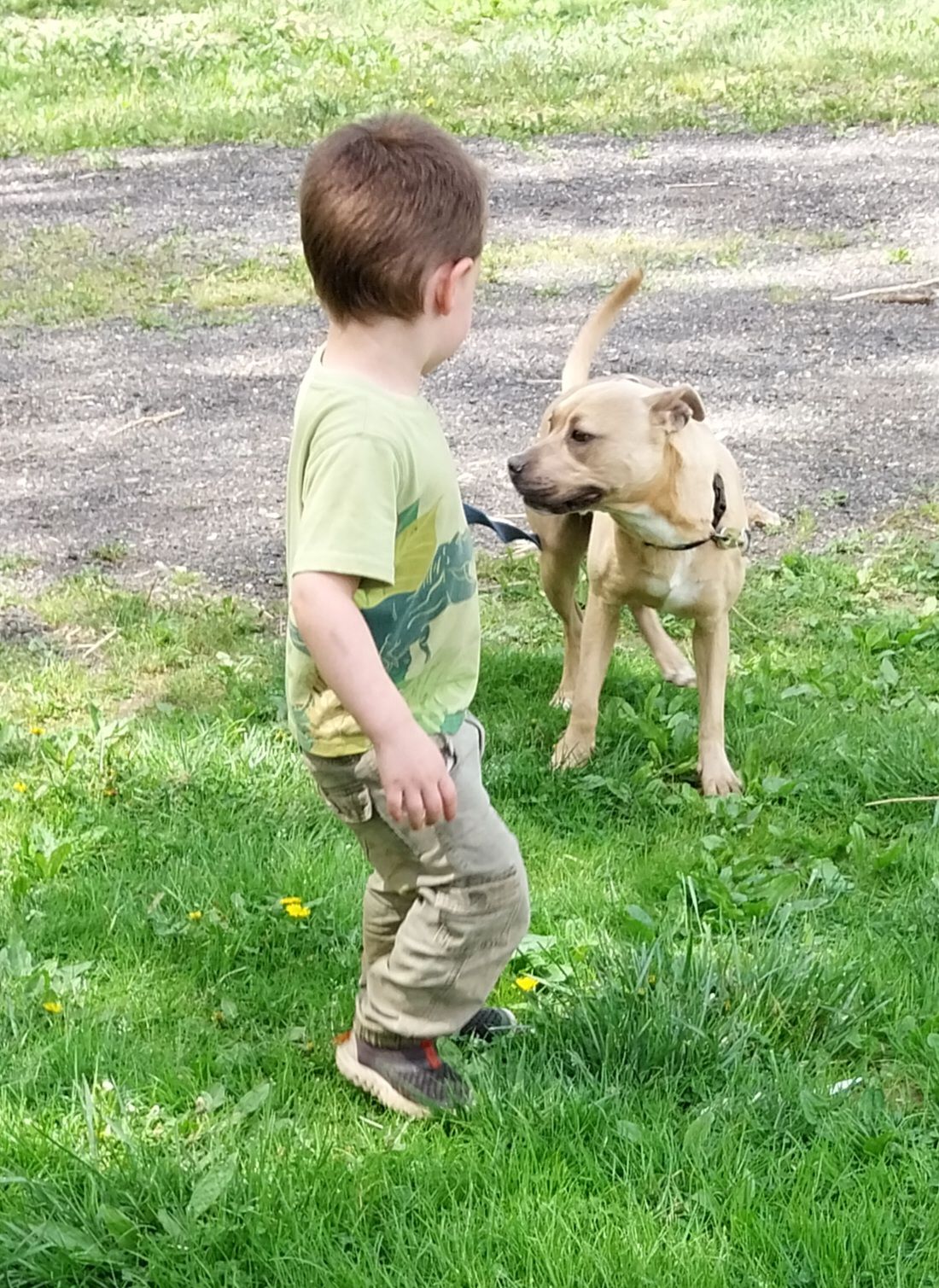 Jewel, a Adoptable mixed breed in Locust Grove, VA image 1/4