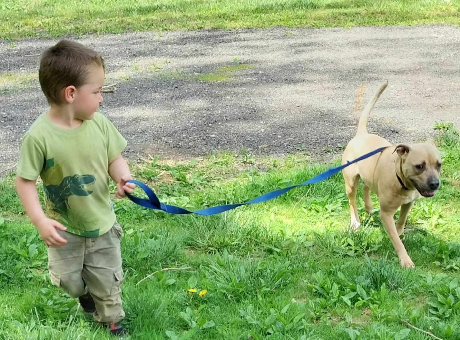 Jewel, a Adoptable mixed breed in Locust Grove, VA image 2/4