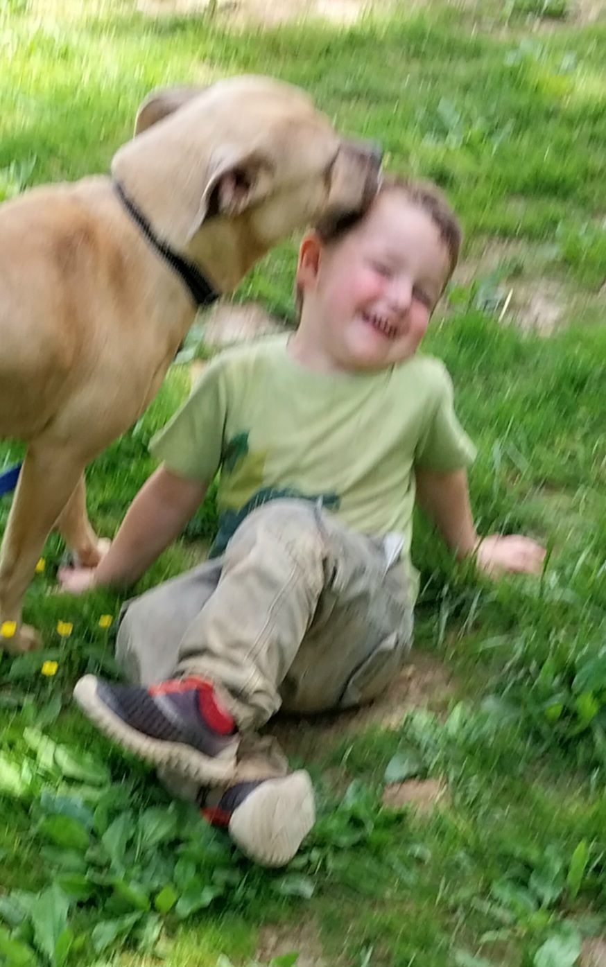 Jewel, a Adoptable mixed breed in Locust Grove, VA image 3/4