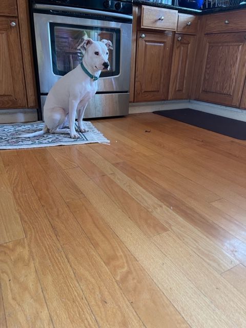 Josie