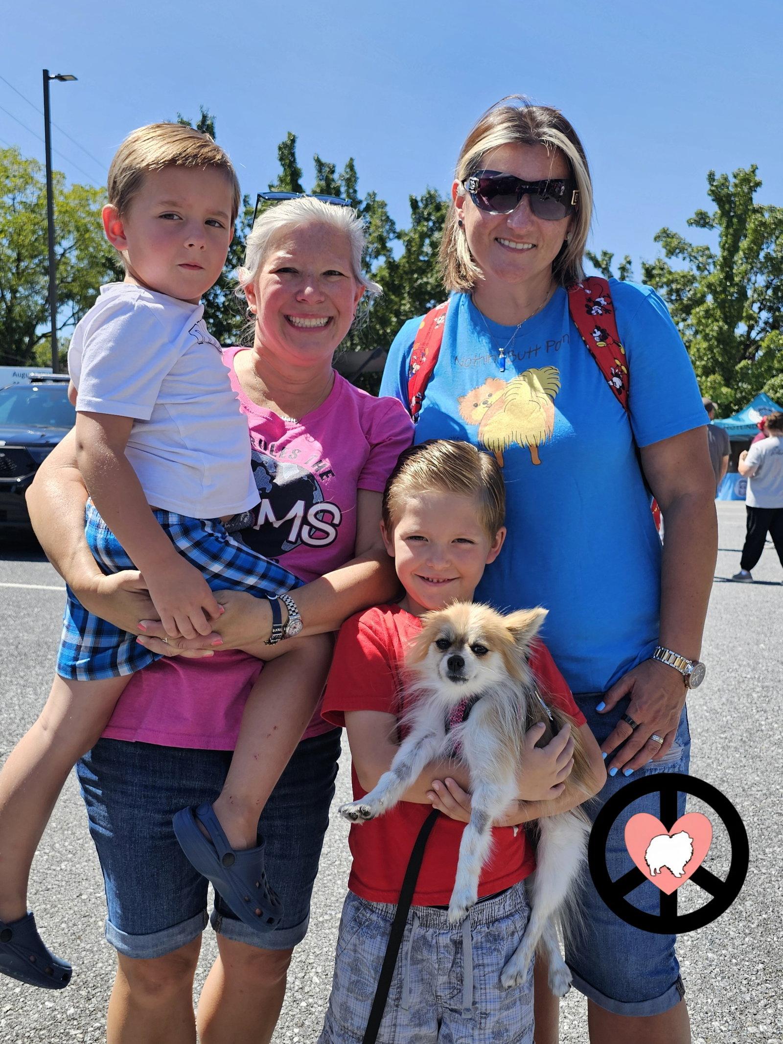 Enlarge Gypsy, a Adopted Pomeranian in Lebanon, PA image 1/2