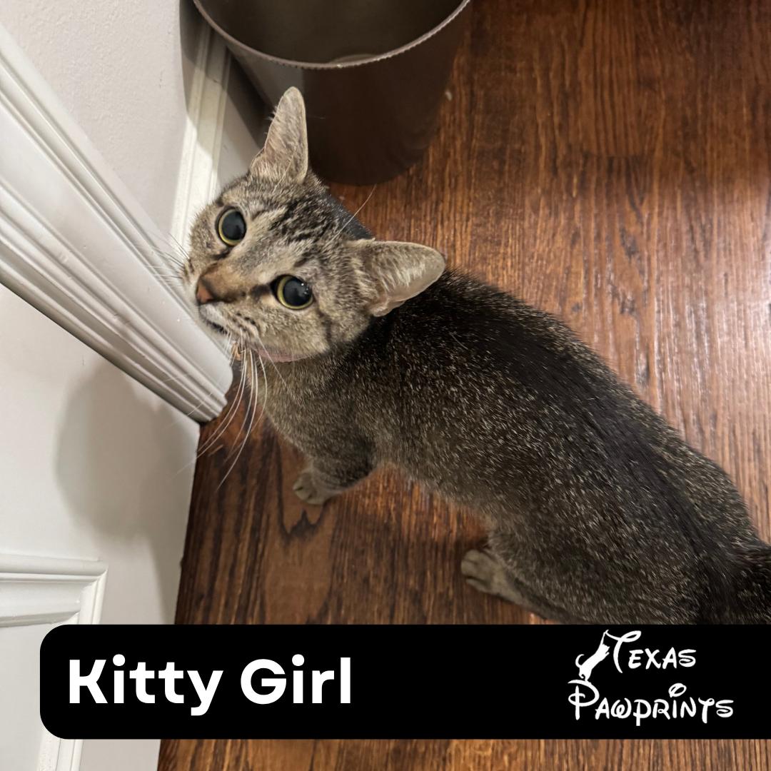 Kitty Girl