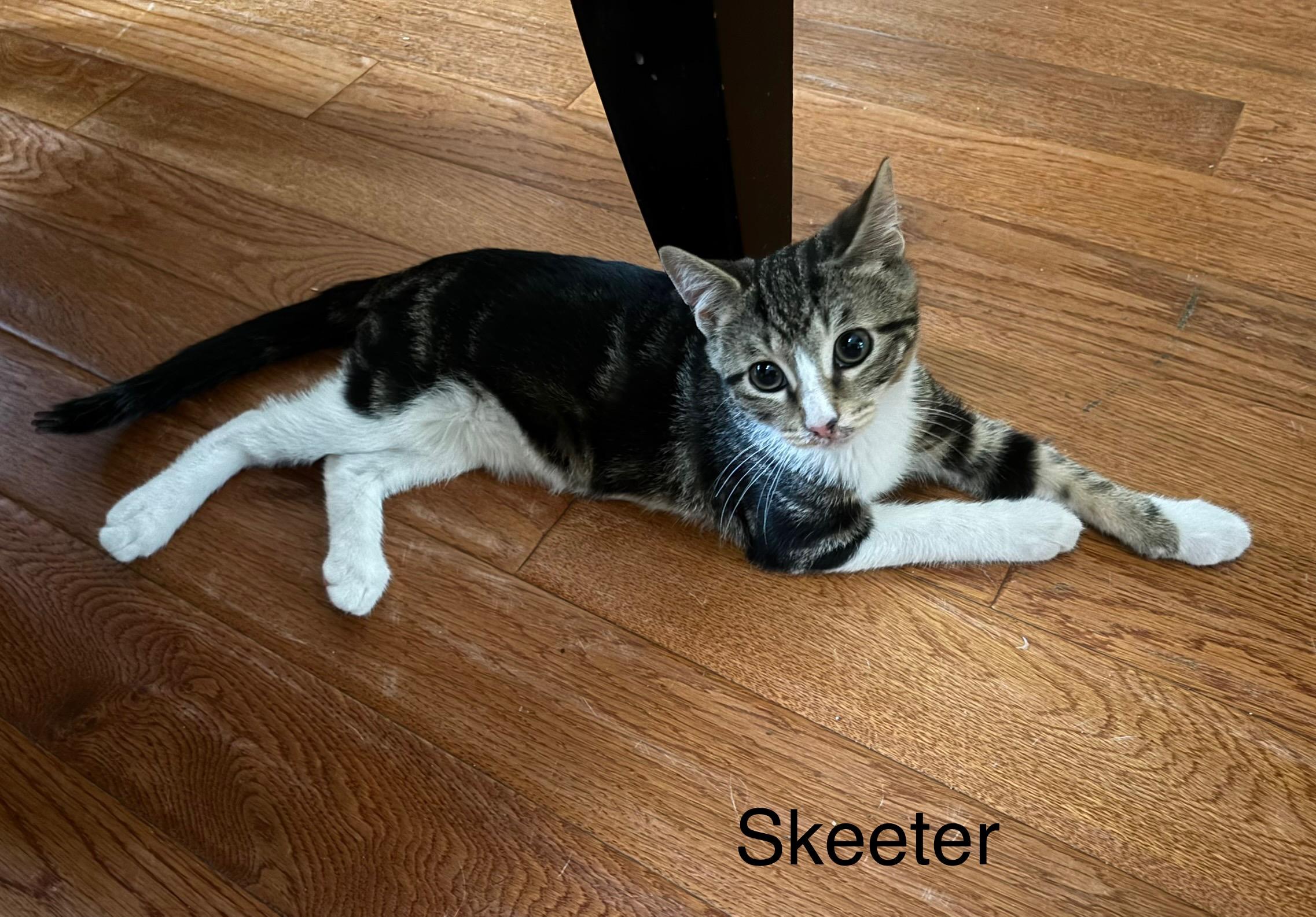 Skeeter