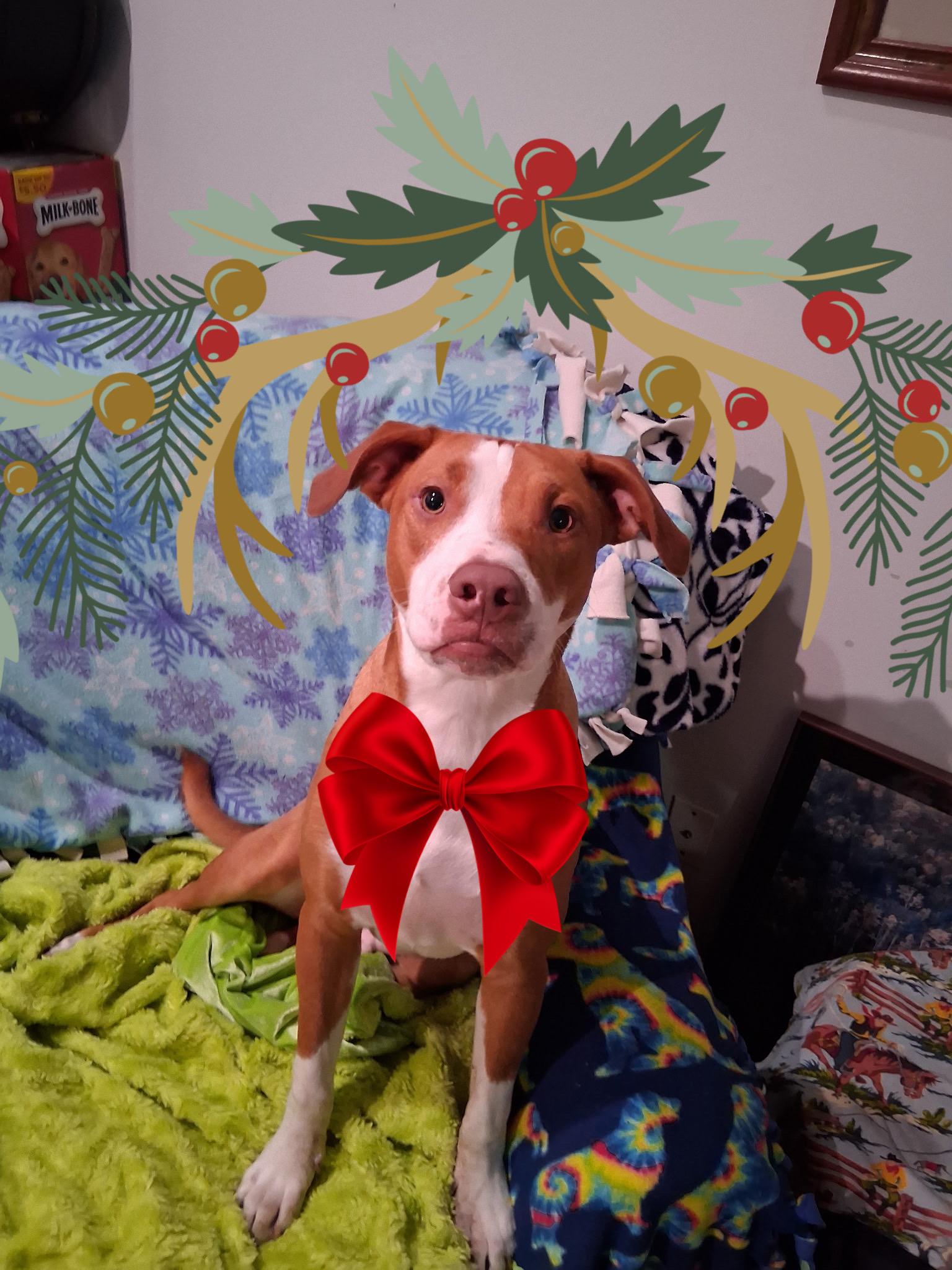 Clayton (loves kids)