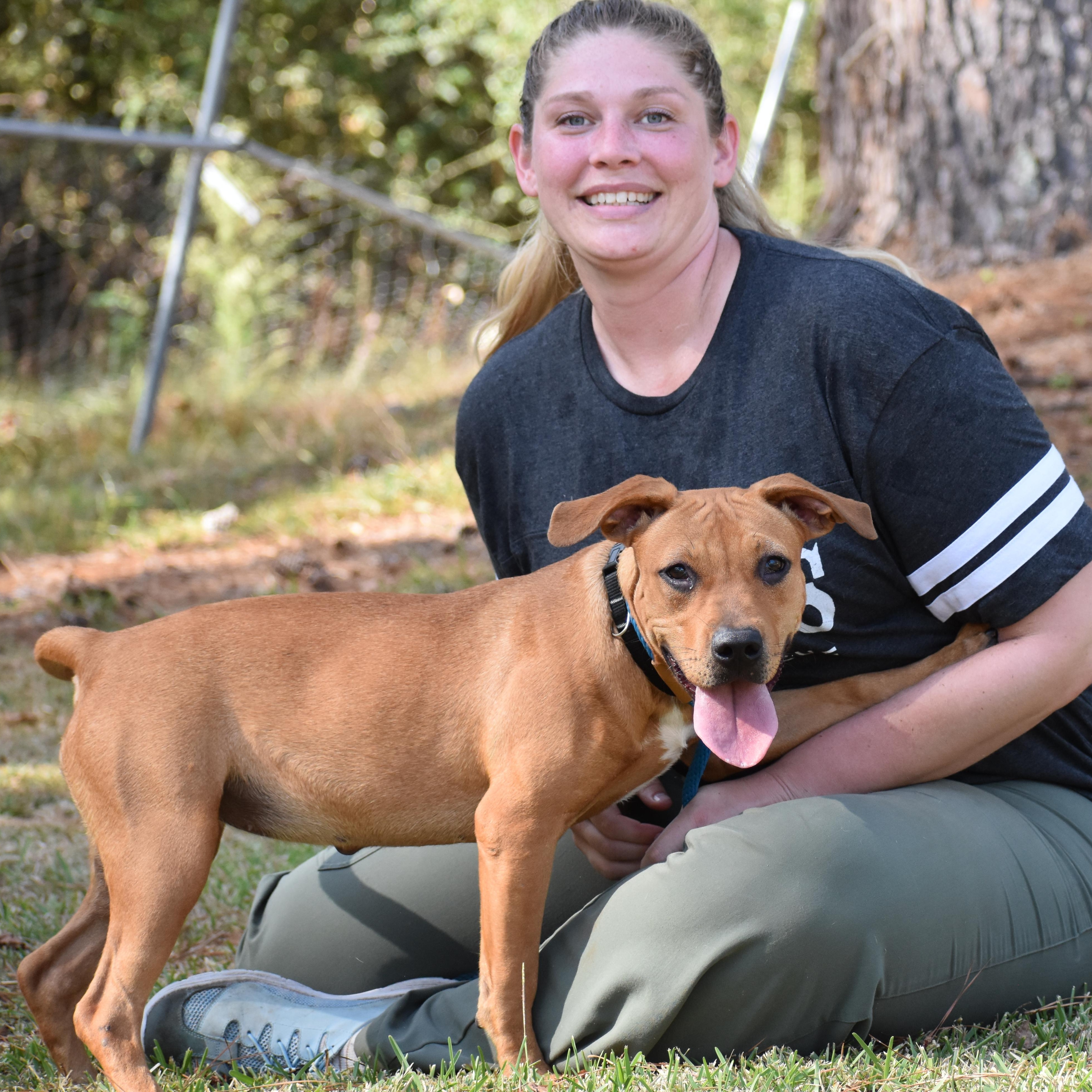 Enlarge Coco Gauff, a ADOPTABLE Mixed Breed in Brooklyn, NY image 4/6