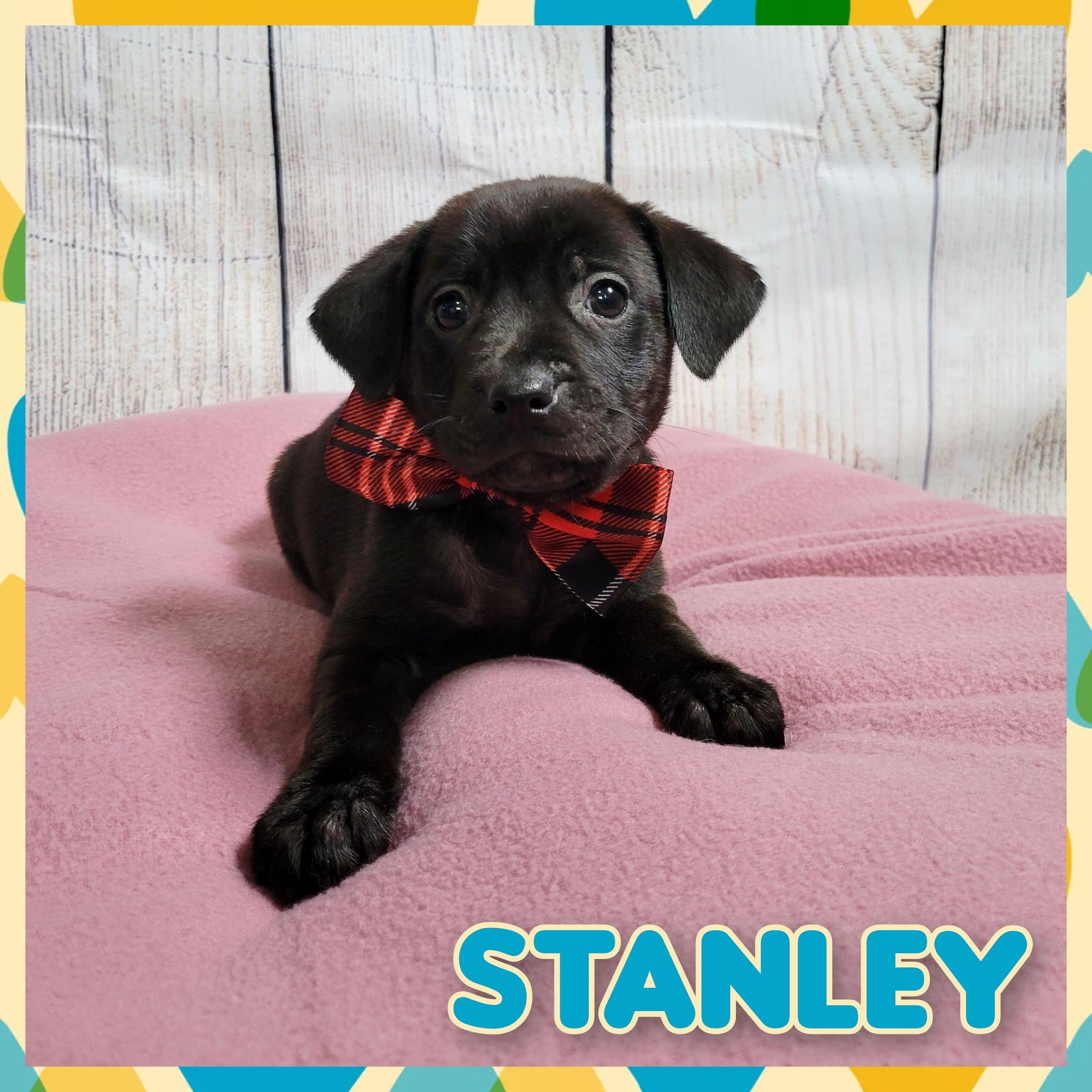Stanley