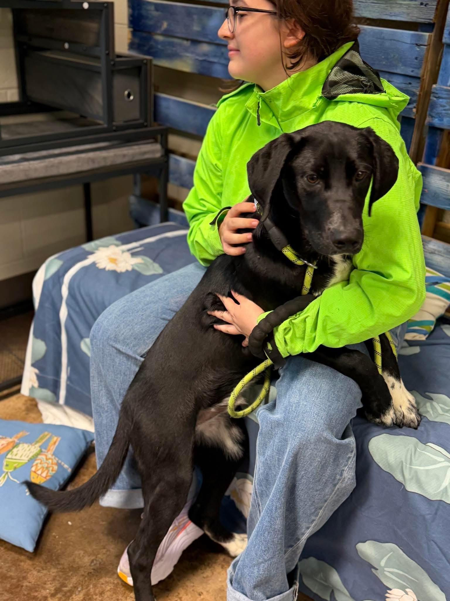 Enlarge Jager, a Adoptable mixed breed in Newfoundland, NJ image 4/5