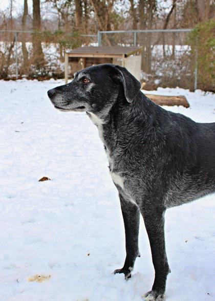 Abbie — thumbnail 2