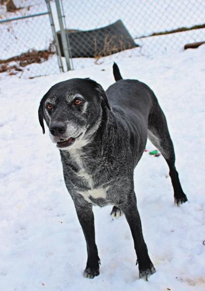 Abbie — thumbnail 3