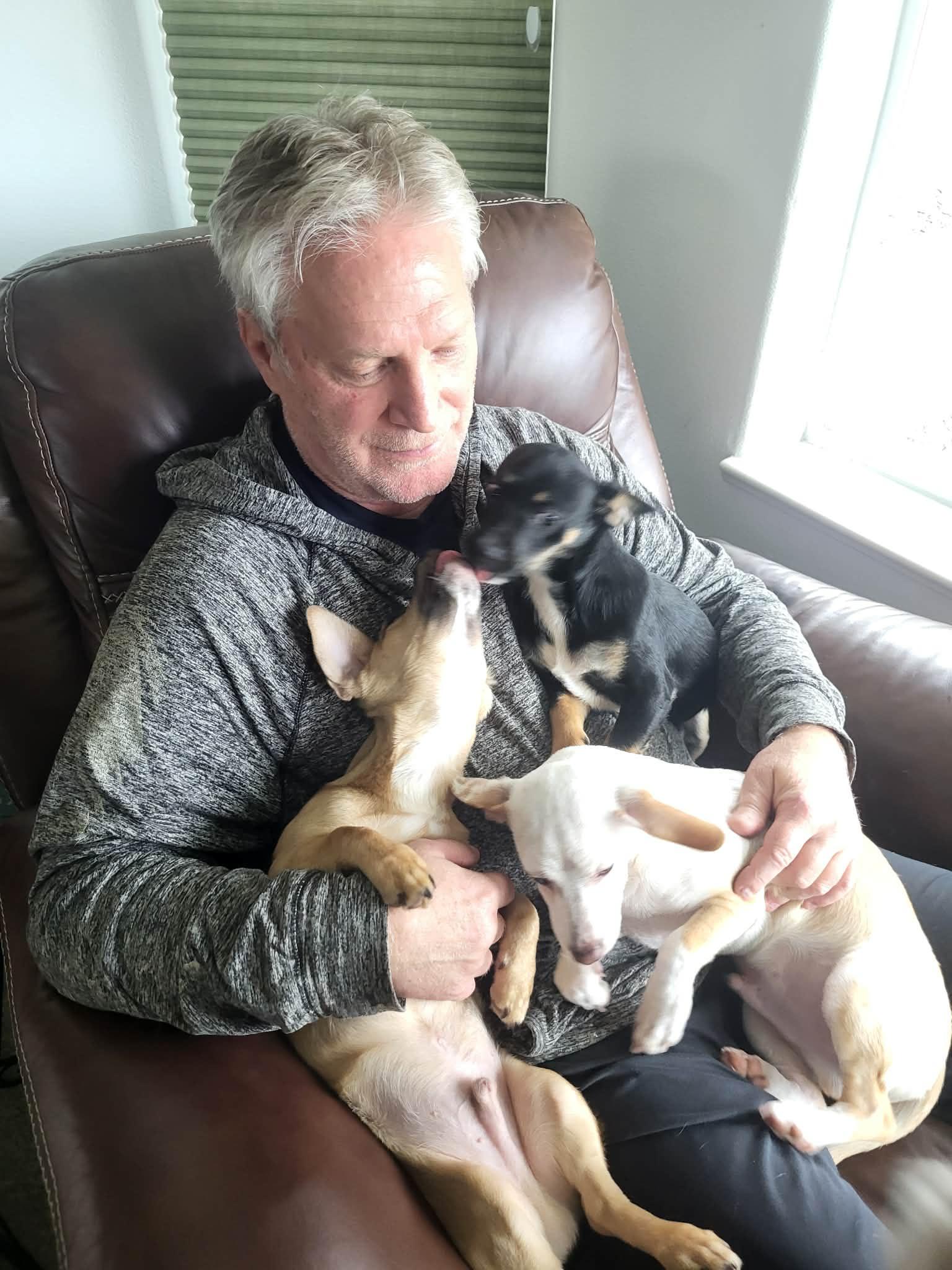 Enlarge Sir Tristan , an adopted mixed breed in Roseburg, OR image 6/6