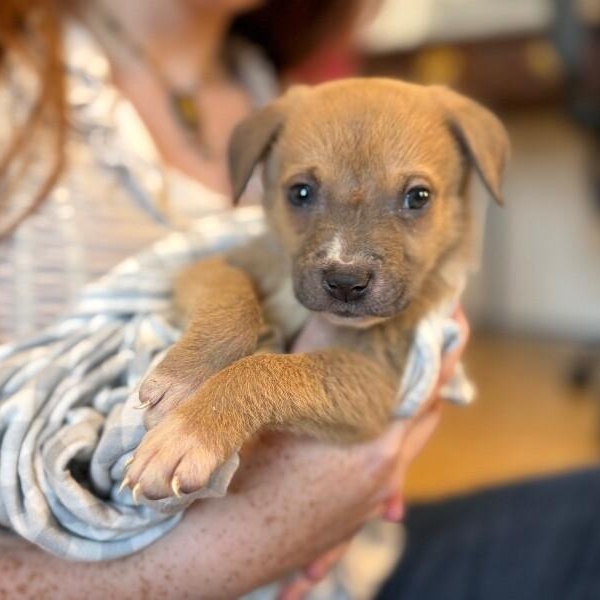 Marley Sunshine — thumbnail 2