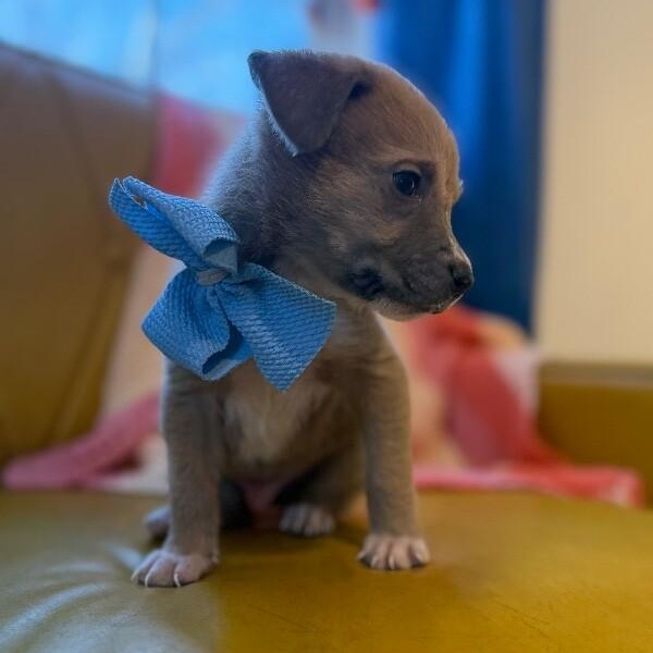 Marley Sunshine — thumbnail 5