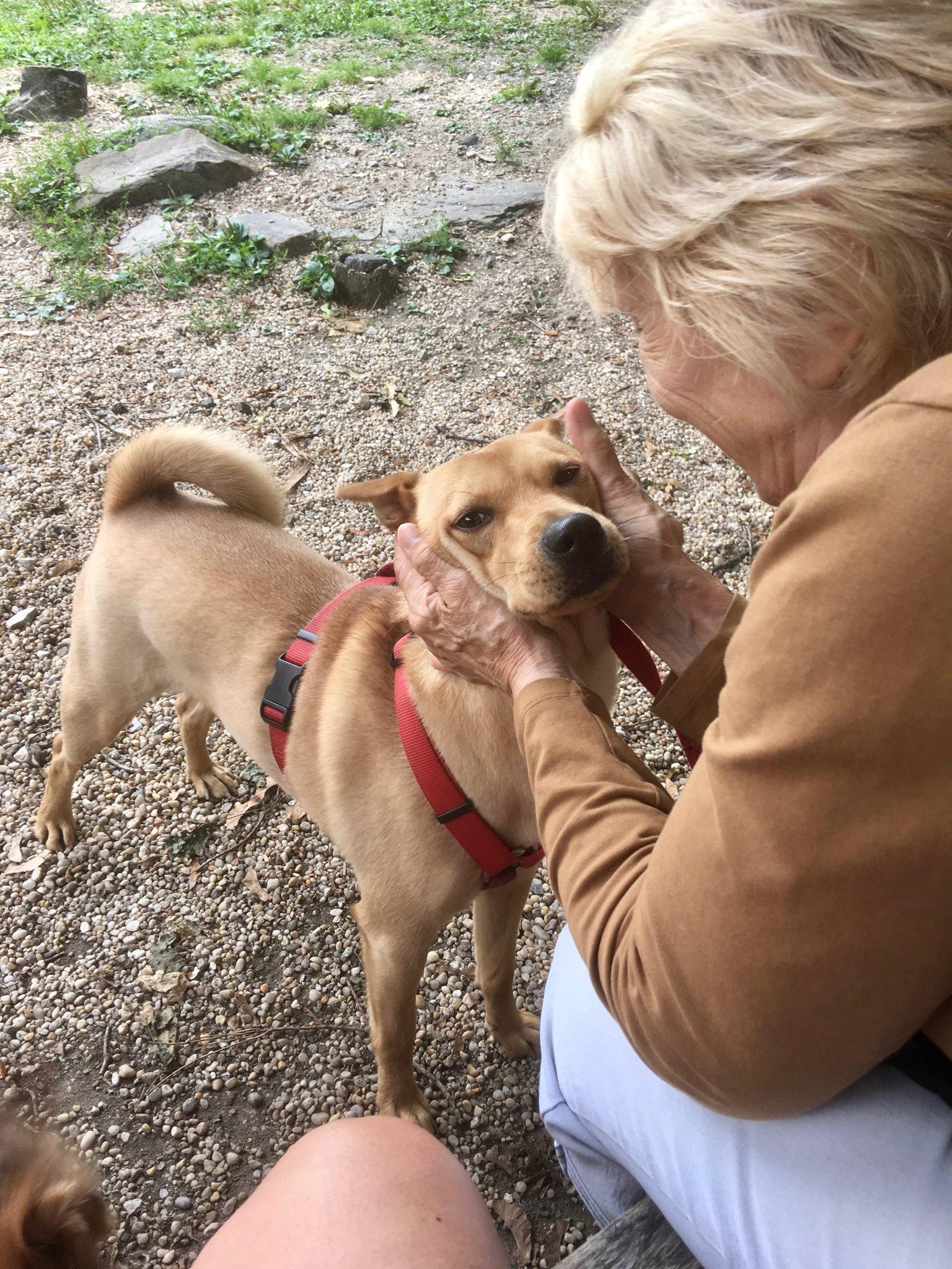 I.M.Pei, the mourning kisser who is waiting for another lap to love on!