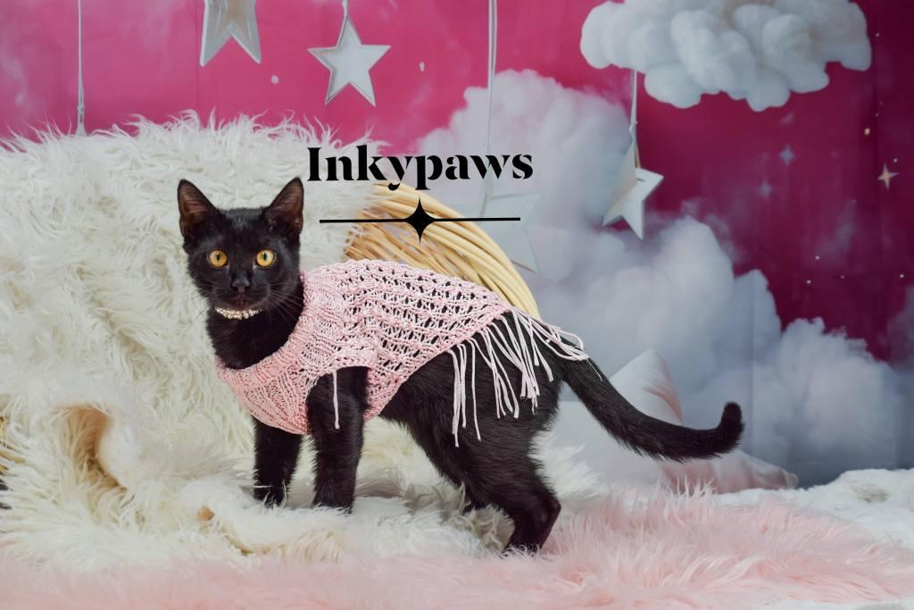 Inkypaws