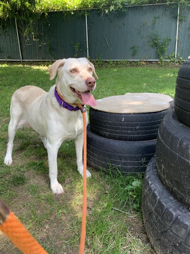 Lucky 1 aka "Lucky Duck"