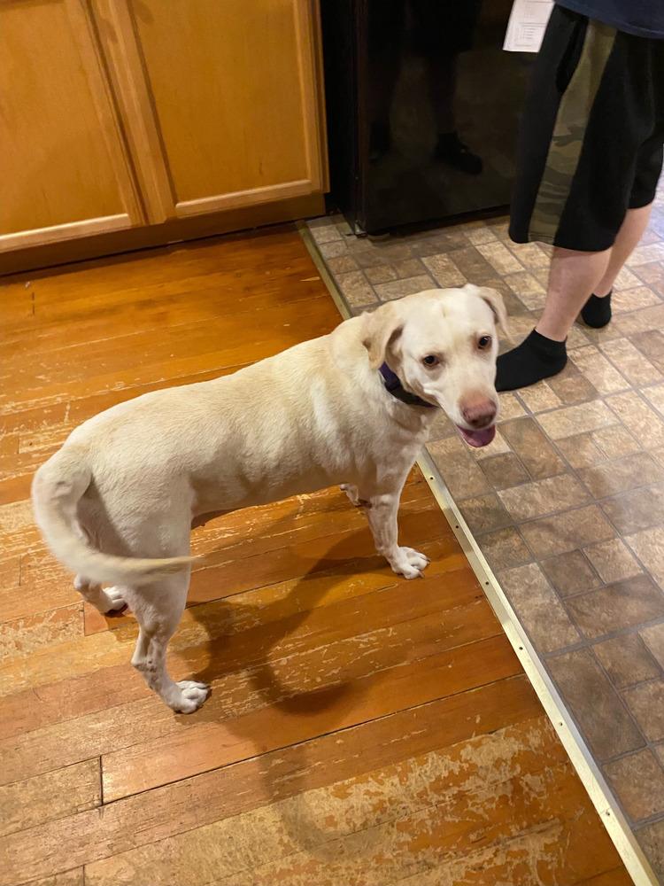 Lucky 1 aka "Lucky Duck" — thumbnail 3