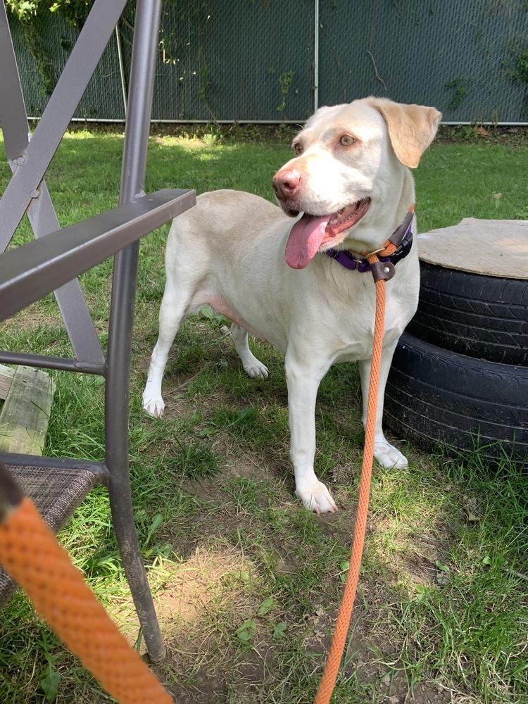 Lucky 1 aka "Lucky Duck" — thumbnail 5