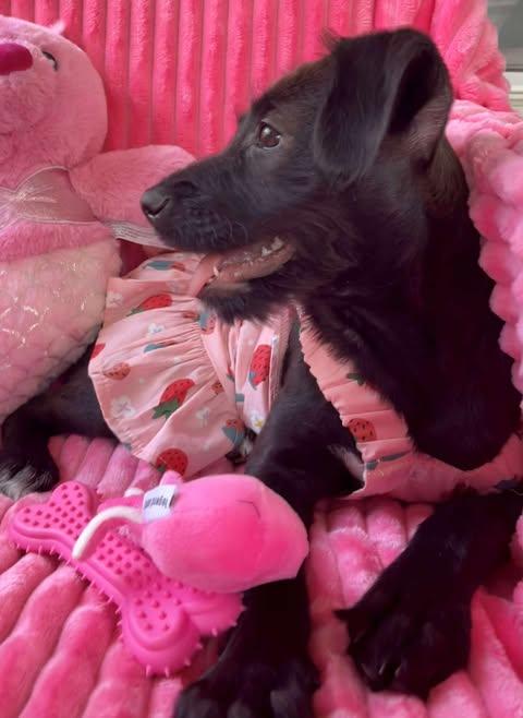 Ann photo 6