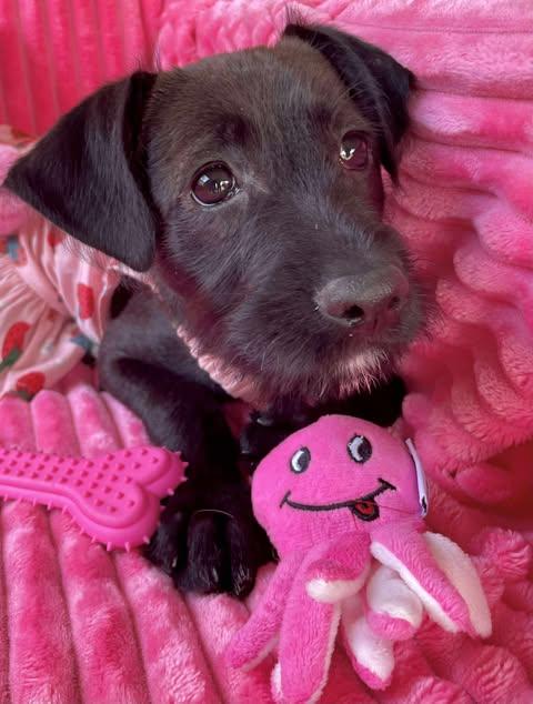 Ann photo 3