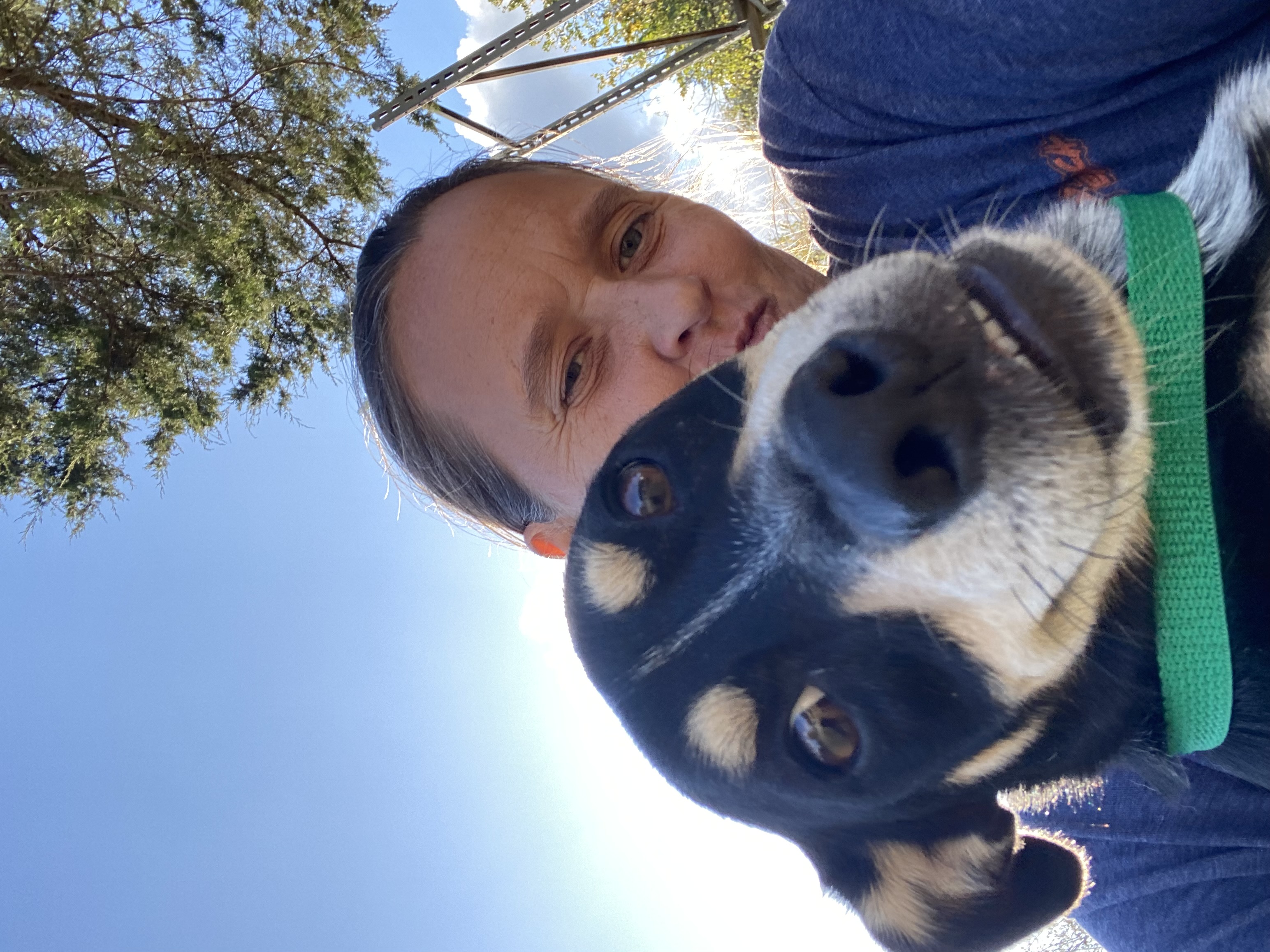 Miata aka Mia, Adoptable, Young Female Australian Cattle Dog / Blue Heeler & Dachshund.