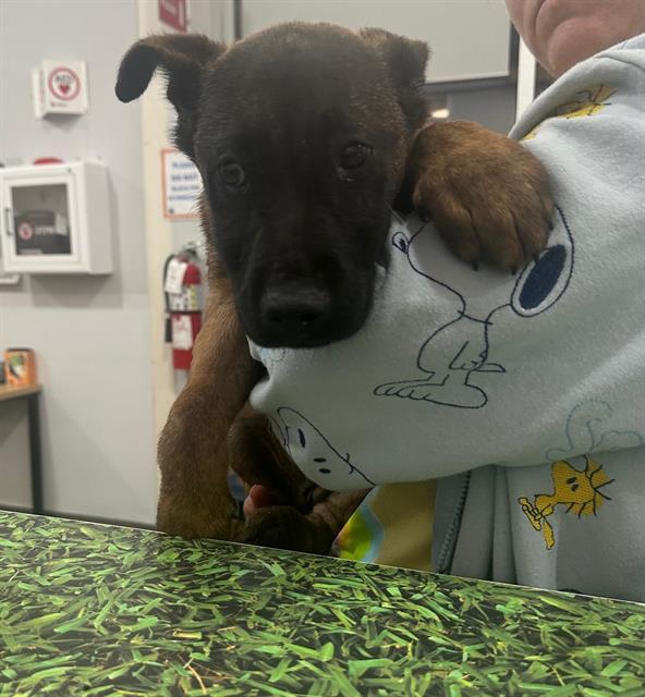 BABY — thumbnail 2