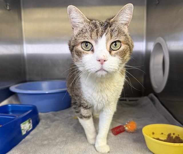 THUMBELINA — thumbnail 2