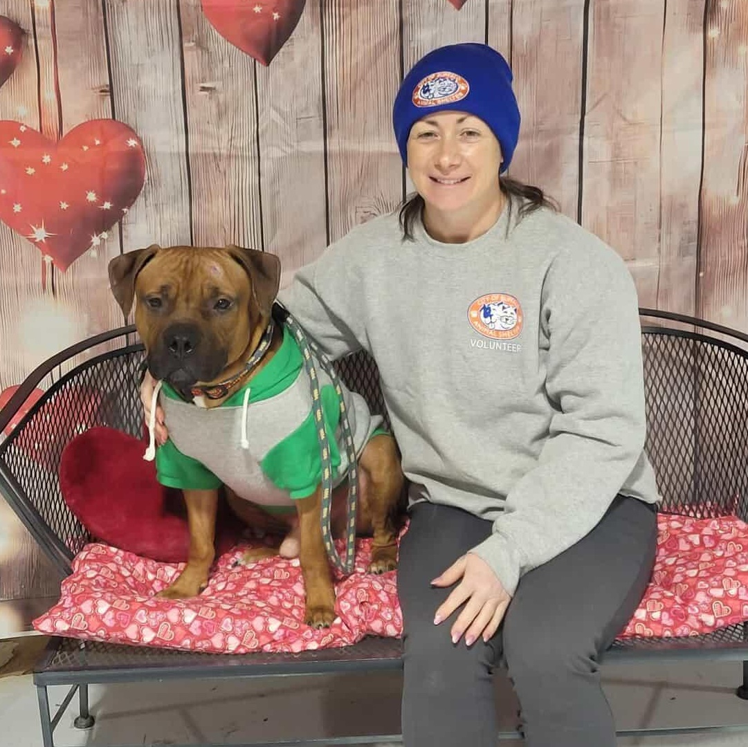 Enlarge Mixtape, an adopted mixed breed in Buffalo, NY image 2/6