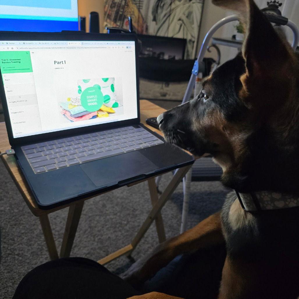 Riley III (New Digs)