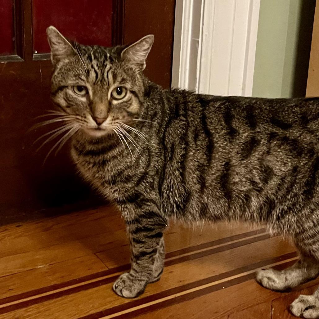 Timmy 3 — thumbnail 2