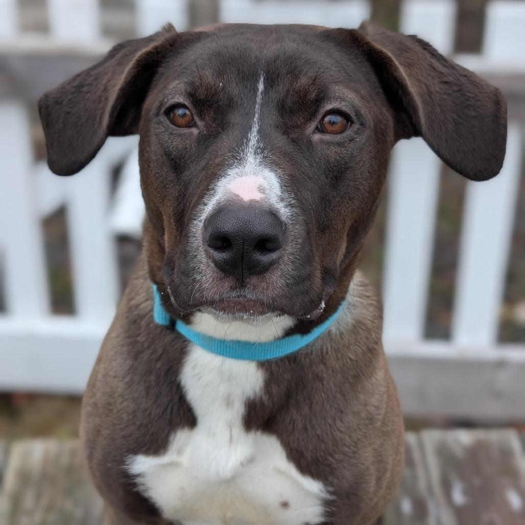 Fendi — thumbnail 2